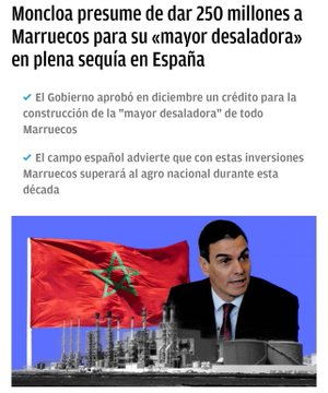 Froilán I de España 🇪🇸 tweet media