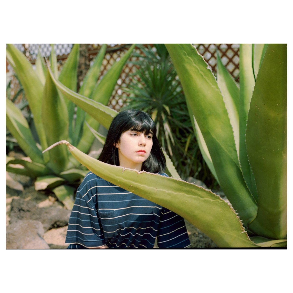 narukim_'s tweet photo. #mamiya645 https://t.co/rcF4Bv1Zy2