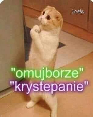 barronek007's tweet photo. @JKowalski_posel nie obesrej sie https://t.co/Jlmhvq2waG