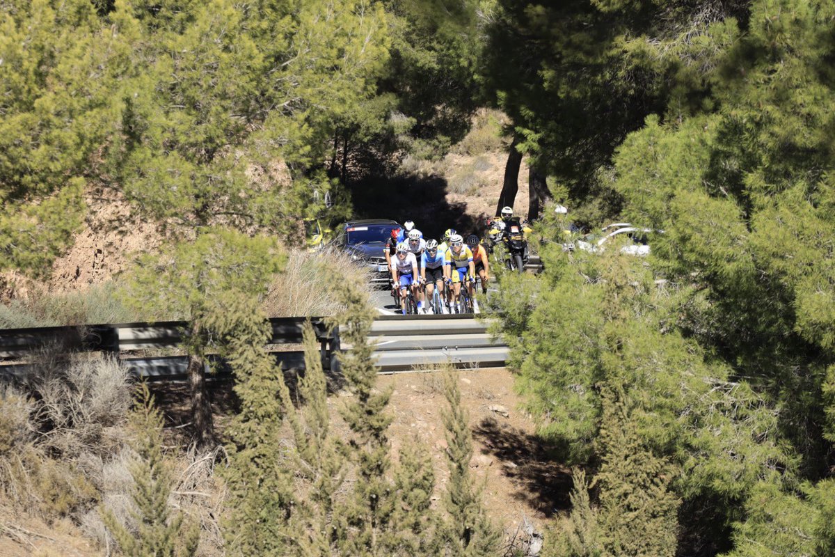 Pedro Semitiel tweet media