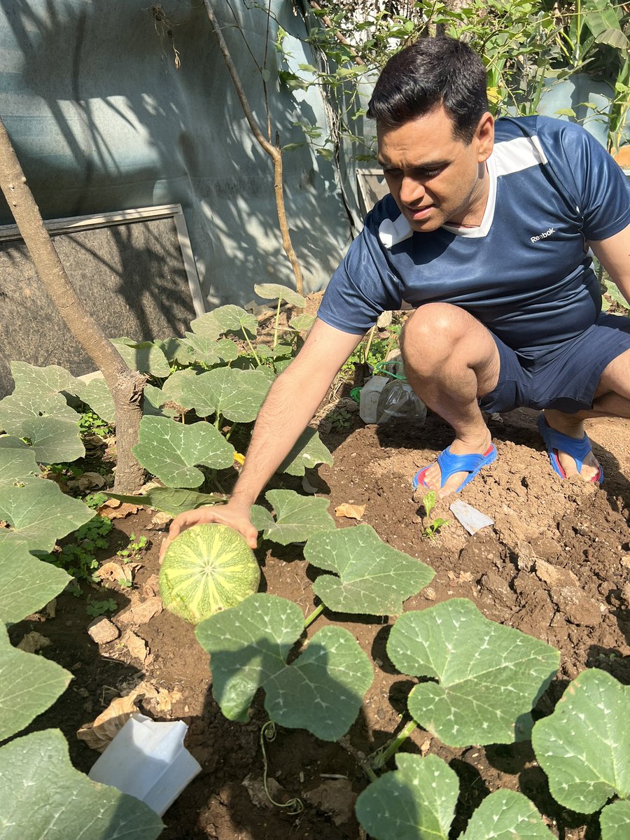 ManojSharmaIPS's tweet photo. किचन गार्डन की एक प्यारी सी सुबह
आपको पूरी ताजगी से भर देती है …. https://t.co/CWv7gUrxyT