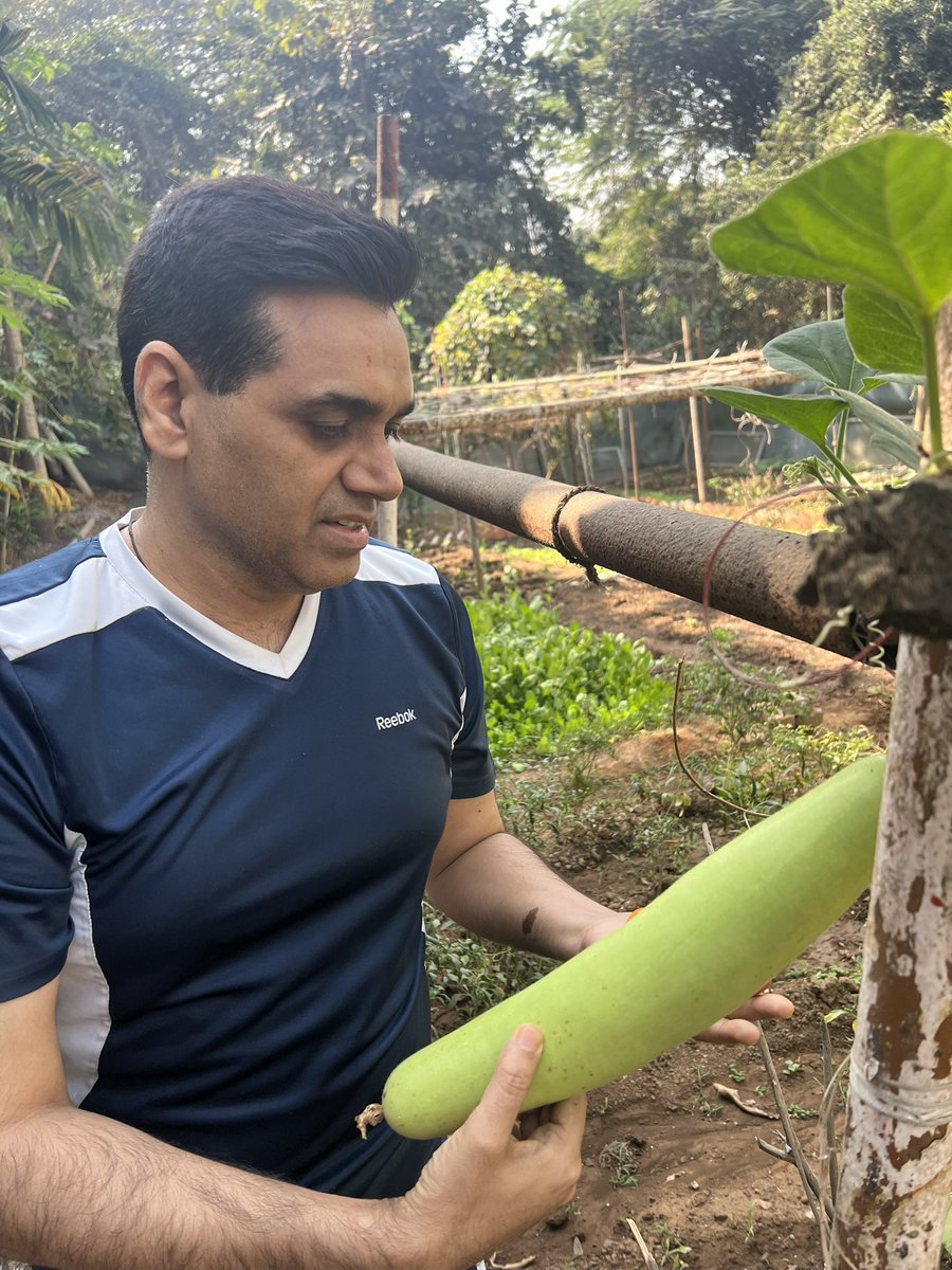 ManojSharmaIPS's tweet photo. किचन गार्डन की एक प्यारी सी सुबह
आपको पूरी ताजगी से भर देती है …. https://t.co/CWv7gUrxyT