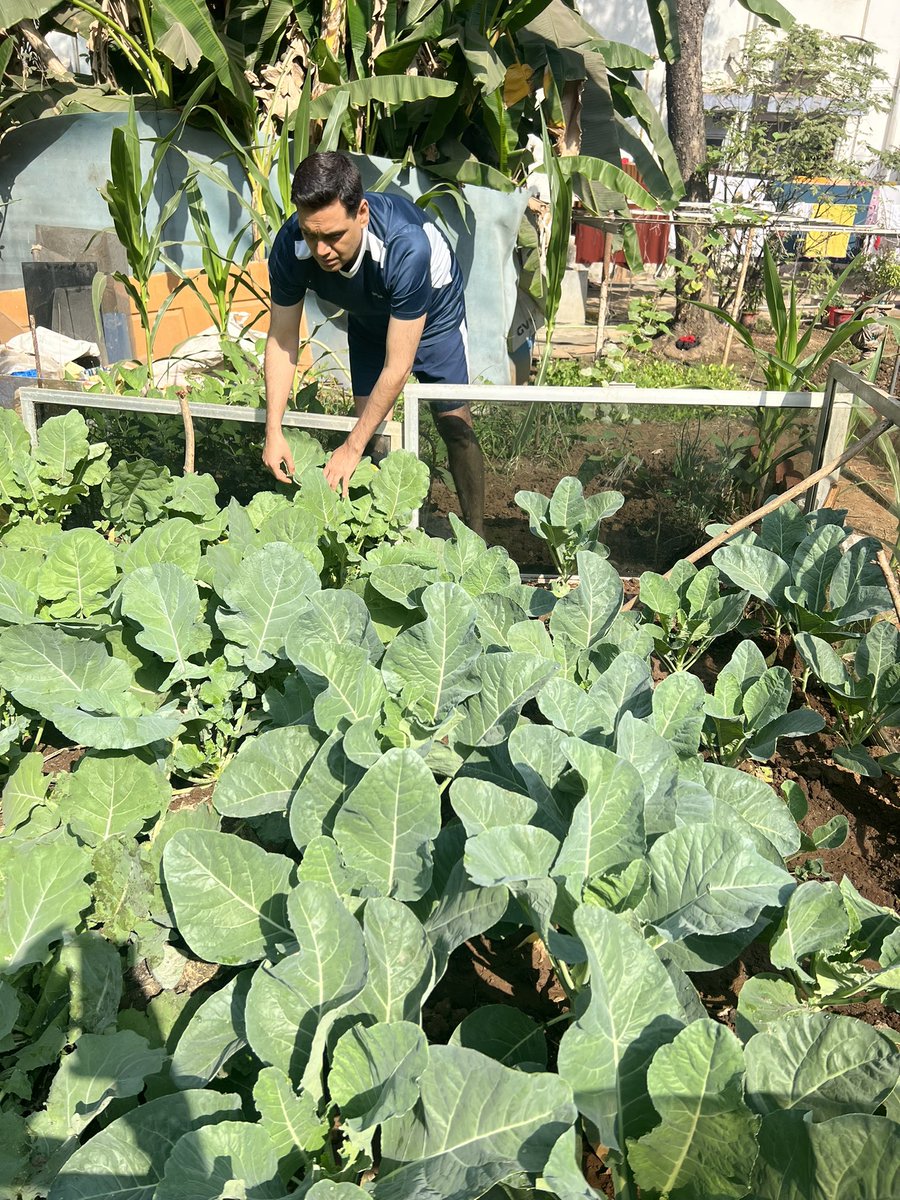 ManojSharmaIPS's tweet photo. किचन गार्डन की एक प्यारी सी सुबह
आपको पूरी ताजगी से भर देती है …. https://t.co/CWv7gUrxyT