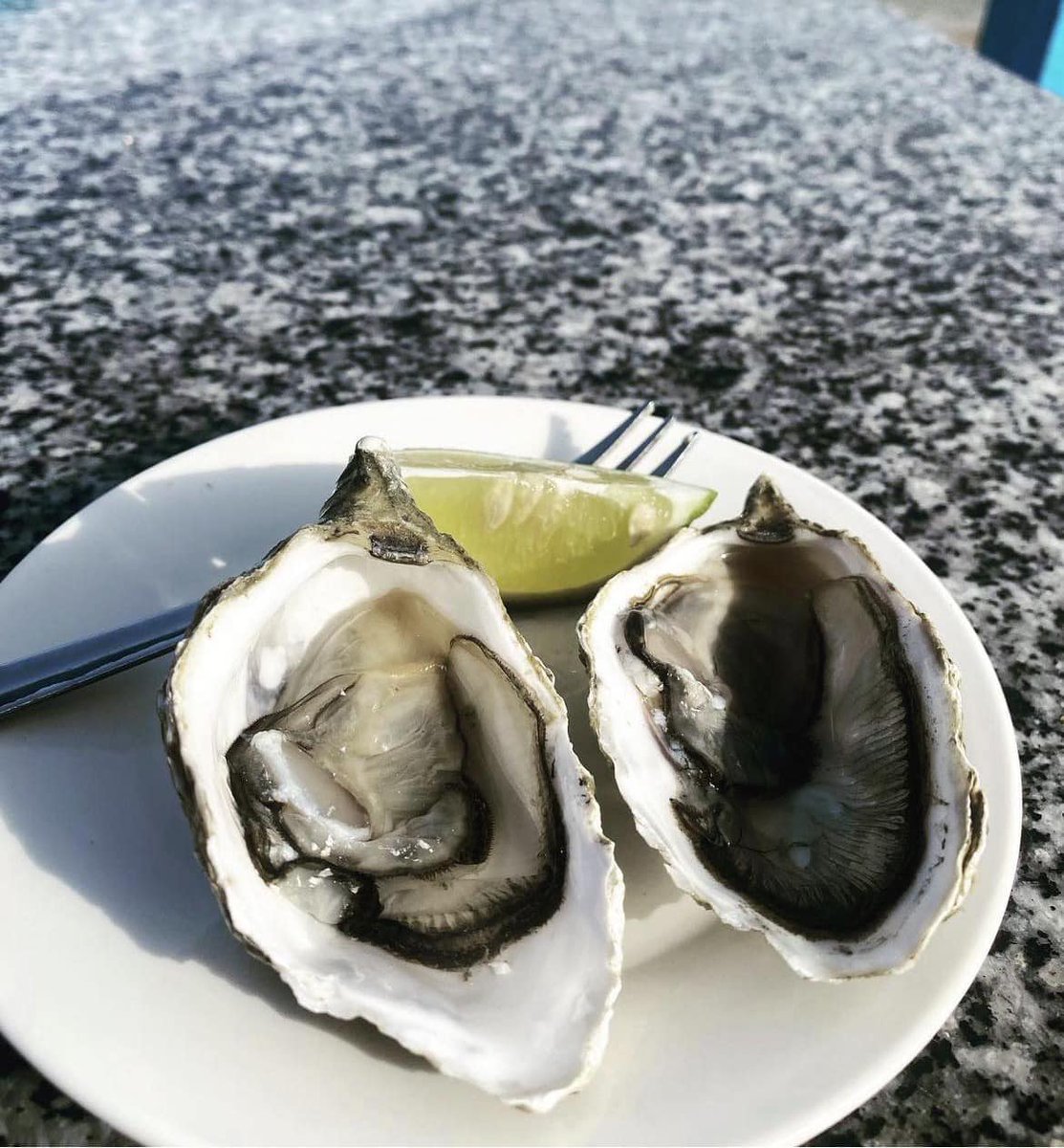 GhideonMusa's tweet photo. For Sea Food lovers
Restaurants in Massawa have it all. #Eritrea #Fenkil2024 https://t.co/KW8vTryYP8