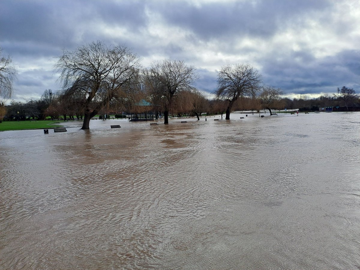 walking class hero 💙 tweet media