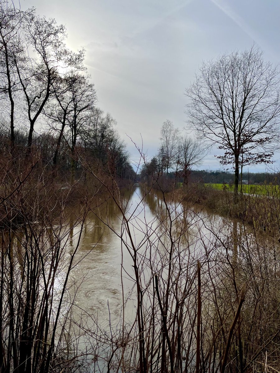 10 februari 11u17 Schilde #vrtweer #weerfoto #weerbericht #natuurfoto #schilde #walkinnature #beautifulday