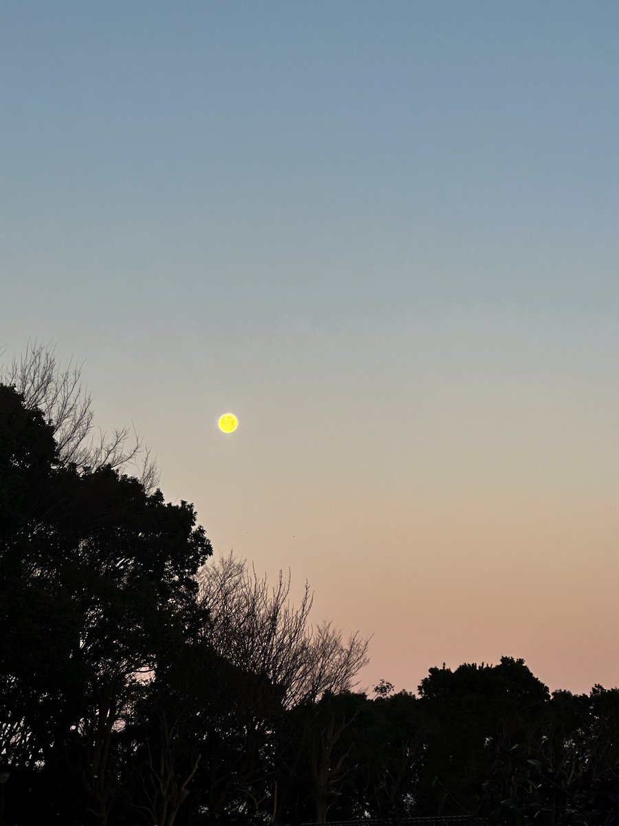 Za_beth_'s tweet photo. 冬の夜明け
月と空が綺麗でした https://t.co/WCfp5Bje0k