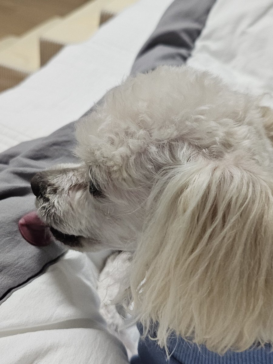 보리공주💝💝💝