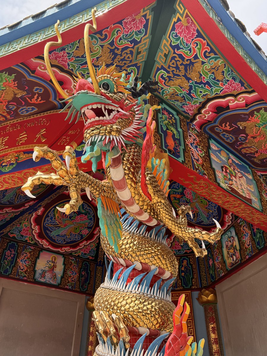 Celebrating the year of the dragon in Chiang Mai 🐉 

#ChineseNewYear2024 #LunarNewYear2024