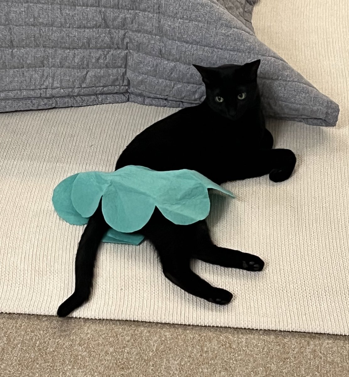 새해 복 많이 받으세요 🥰