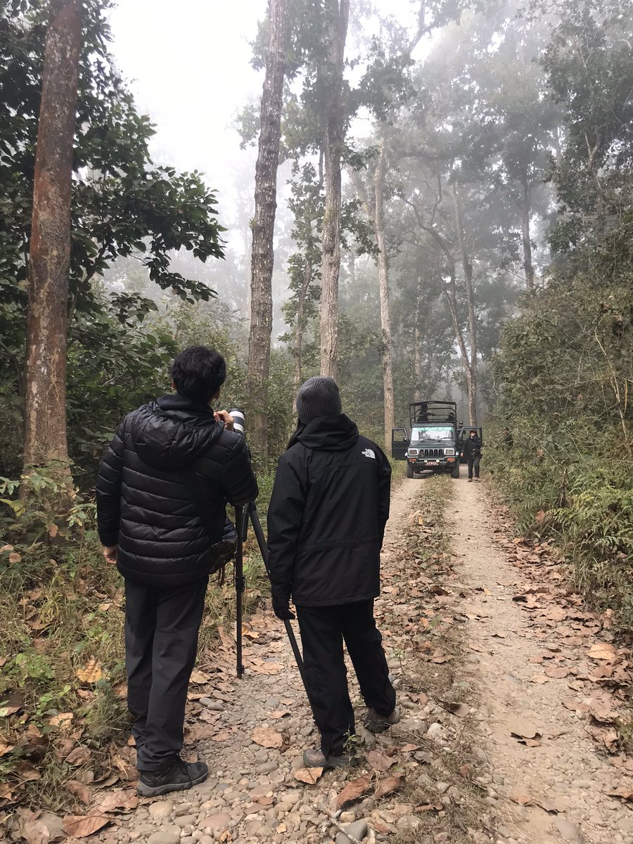 BeshPrabesh's tweet photo. Project on running.. https://t.co/TKnyLwmxJp