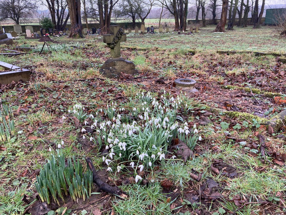 FOSMchurchyard tweet picture