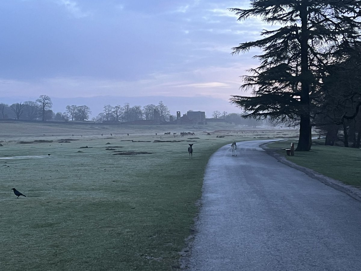 Simon Pizzey 🇪🇺🇬🇧🇮🇹🇫🇷🌺🏆🏆🦅 tweet media