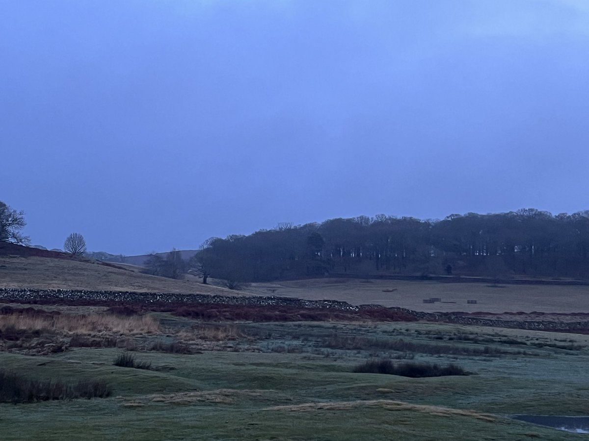 Stunning run through Bradgate Park today  <a href="/BradgatePark/">The Bradgate Park Trust</a>