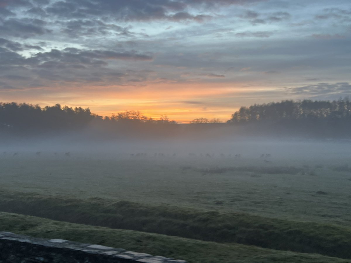 Simon Pizzey 🇪🇺🇬🇧🇮🇹🇫🇷🌺🏆🏆🦅 tweet media