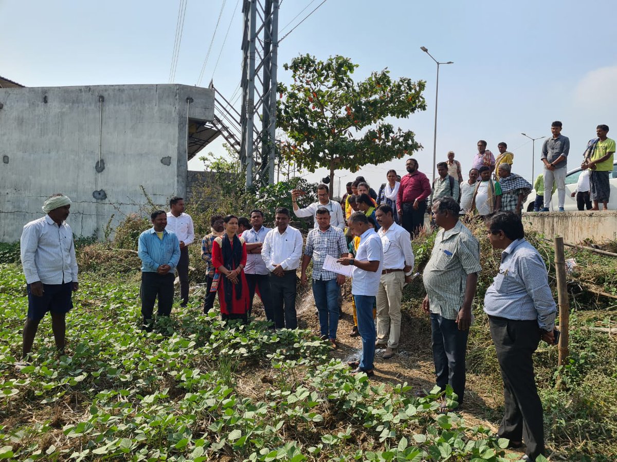 tabc_mssrf's tweet image. Shri Prem Chandra Chaudhary @premcchaudhary, Director of Agriculture &amp;amp; Food Production, Odisha, visited green gram fields in Phulata &amp;amp; Janakimanipur Sasana villages, Ganjam. This visit was part of the #CRFM project implemented by @bptabc_mssrf in collaboration with @krushibibhag