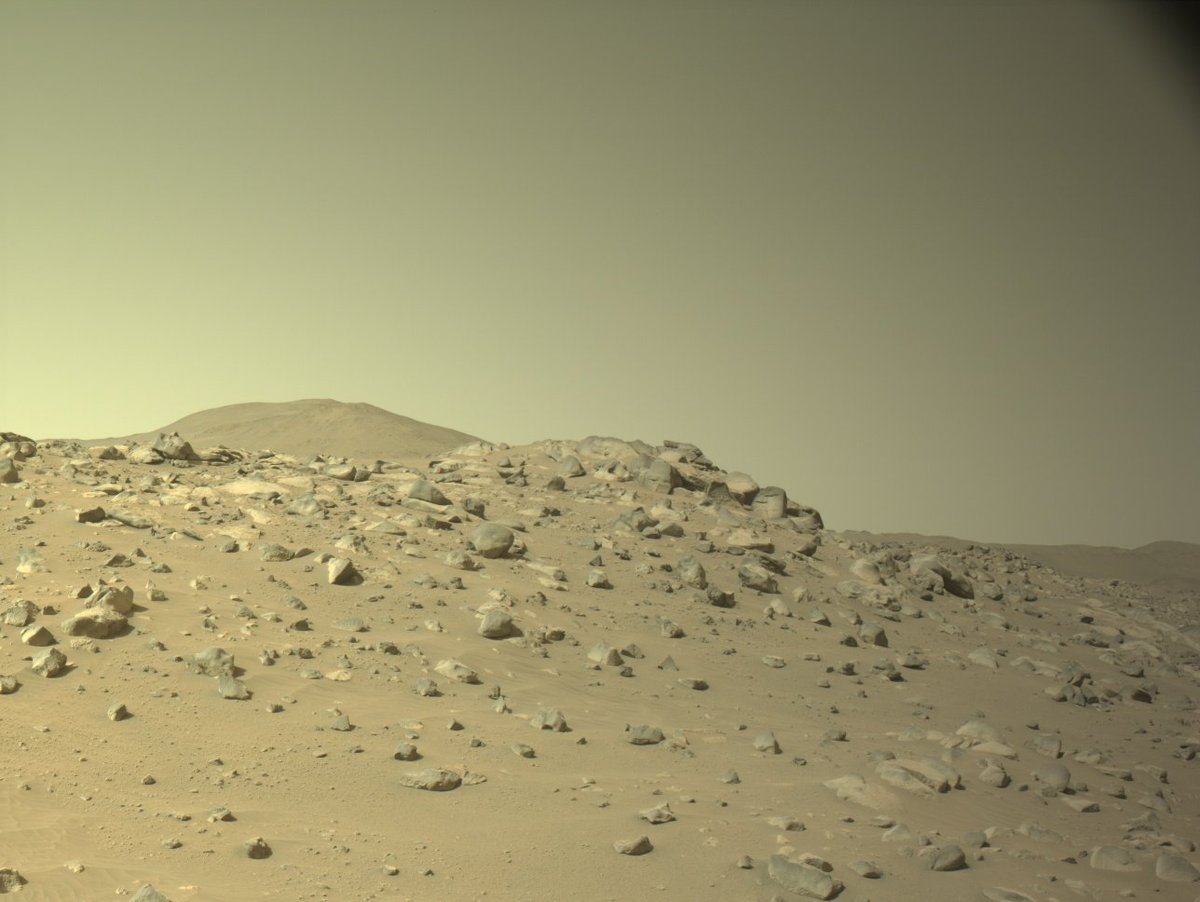 cosmosapiens_'s tweet photo. Perseverance en Marte.
Imágenes tomadas por la Navcam el 8 de febrero (sol o día marciano número 1056 de la misión). https://t.co/O1olgEKgYJ