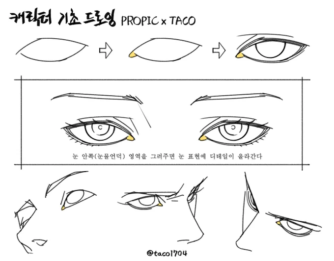 눈 안쪽(눈물언덕) 영역을 그려주면 눈 표현에 디테일이 올라간다 / 단 그림체에 따라 생략하기도 한다 
