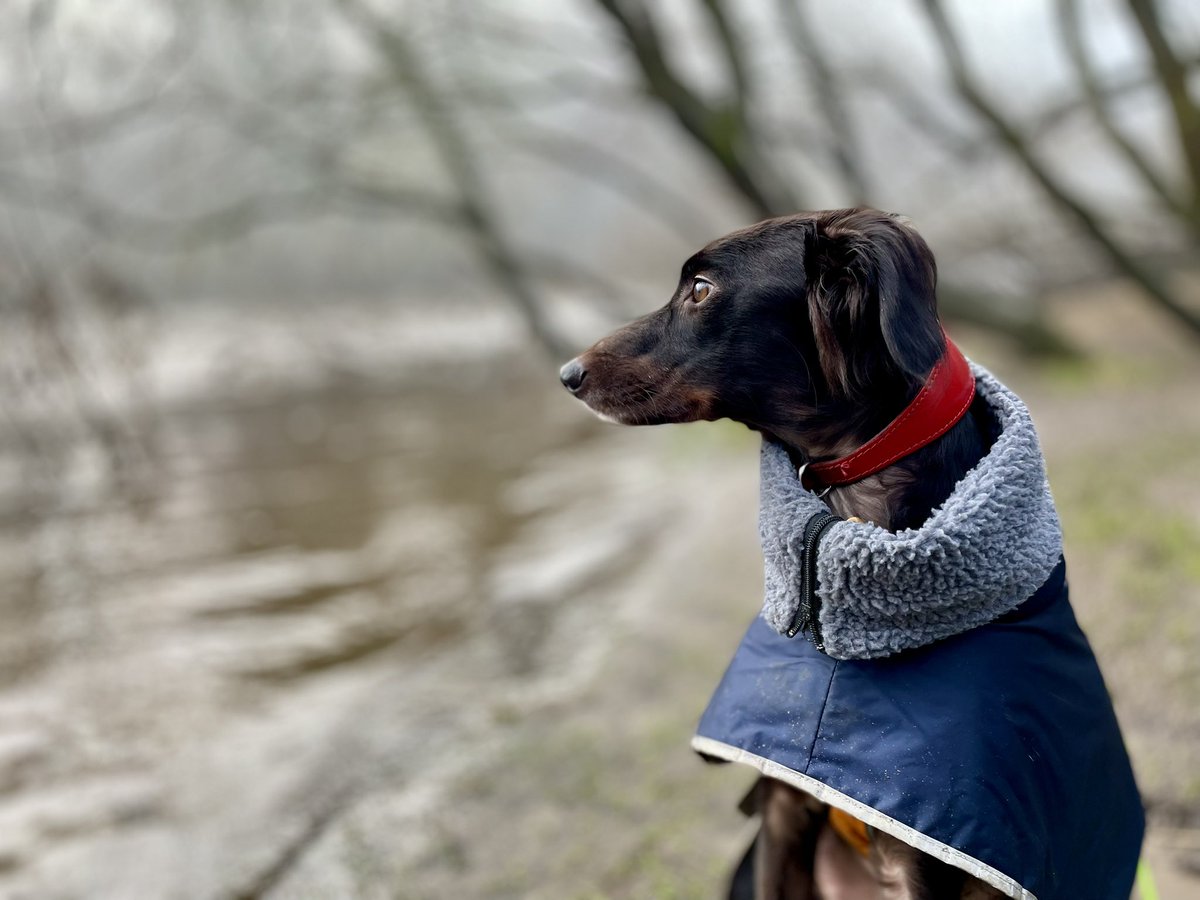 Another match postponed for <a href="/crooktown_afc/">Crook Town AFC 🖤💛</a> = no match day snacks 😢 but March is set for a snack frenzy with all the rescheduled games 🍖. had an extended wander around Low Barns instead
