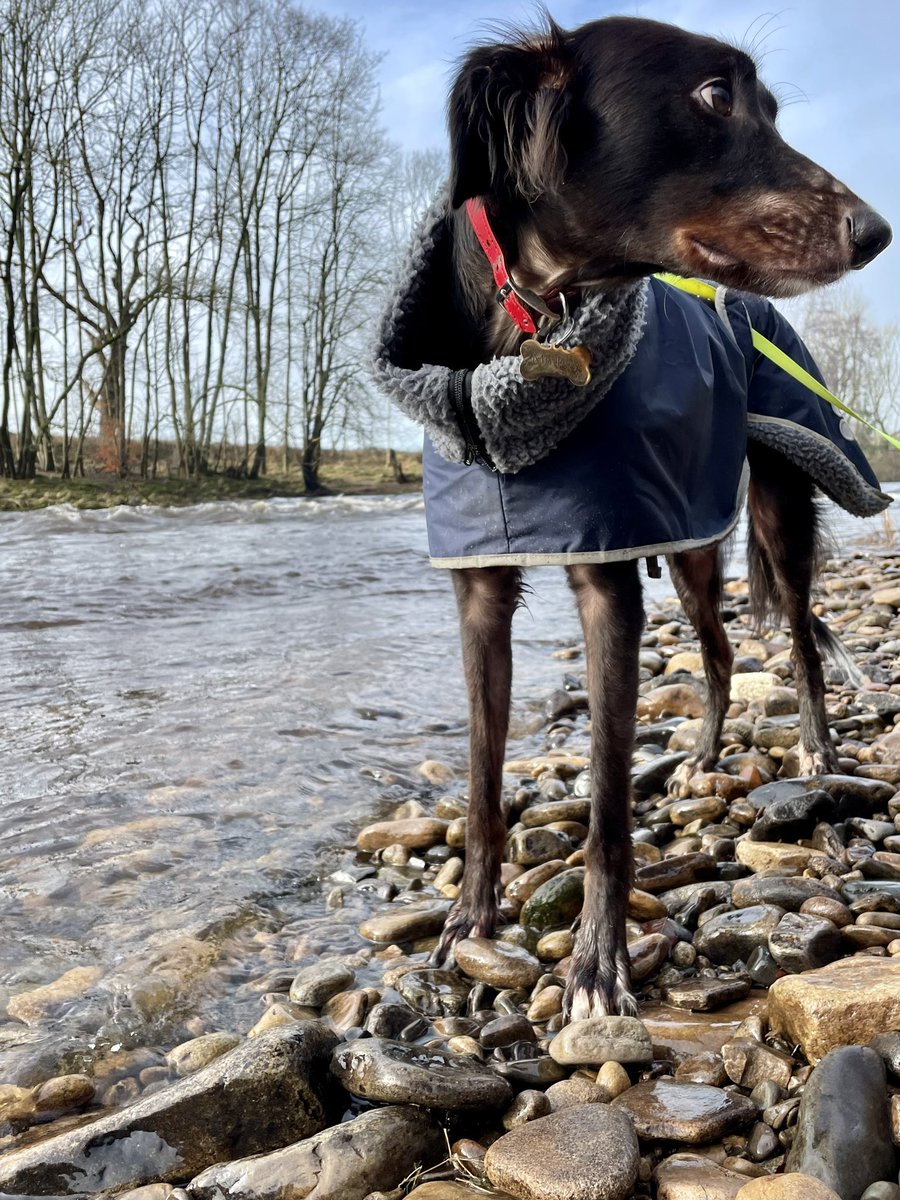MillfieldMurphy's tweet photo. Another match postponed for @crooktown_afc = no match day snacks 😢 but March is set for a snack frenzy with all the rescheduled games 🍖. had an extended wander around Low Barns instead https://t.co/B1SyfF3sr3
