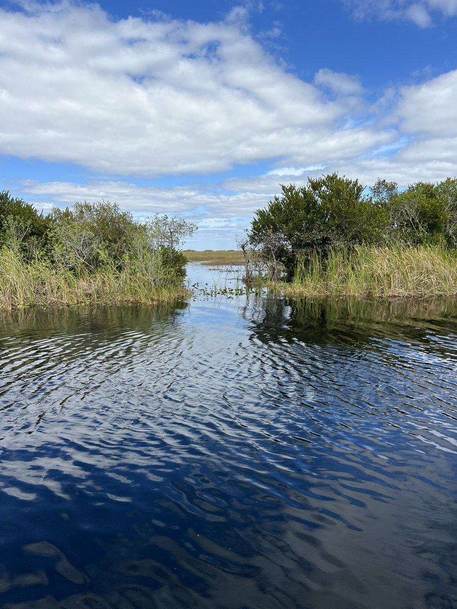 Perfect Florida day yesterday, spent in the Everglades with @EvergladesFoundation scientific and education leaders. An exceptional view of our water source and the restoration efforts underway to protect this unique environment.  Thank you Everglades Foundation!