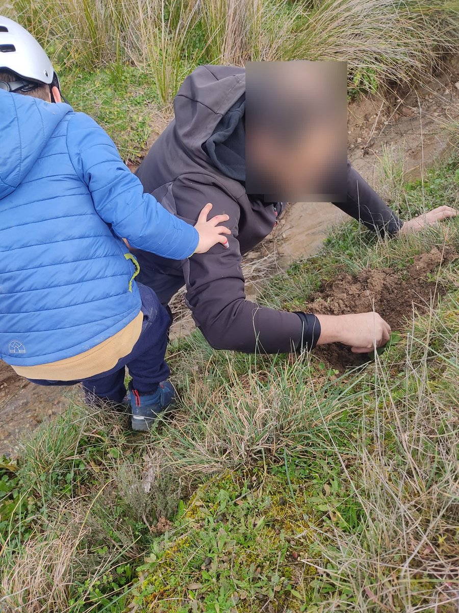 JartoPanchu's tweet photo. @CorredorEcoSur @ENTORNOMEAQUES Con la reforestación de encinas en el #CorredorEcologico del meaques que hemos hecho hoy, casi acabamos esta temporada.
Aún nos quedan plantones de roble que traeremos cuando deje de haber posibilidad de heladas.
#Meaques https://t.co/sEG6tQThEG