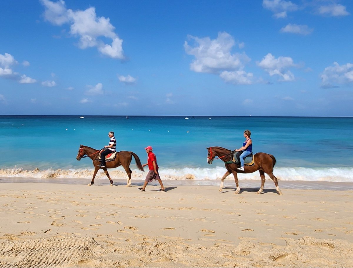 scottmcquinn1's tweet image. 