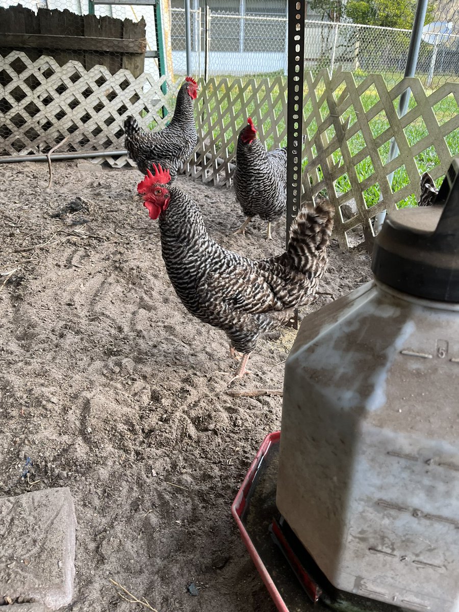 Ladies looking good! Thanks for the continued support