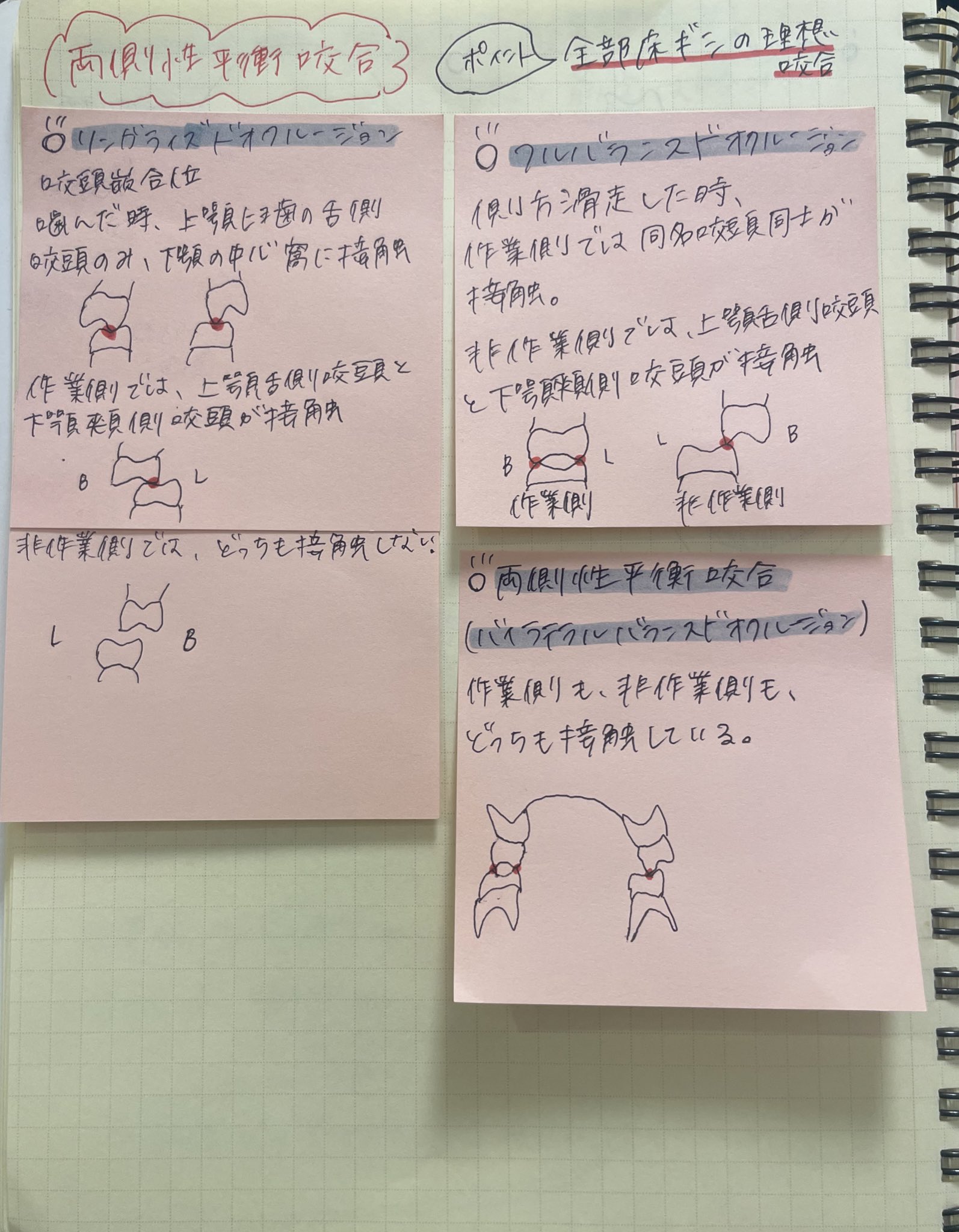 新 咬合論&咬合誘導論 : 新 犬歯誘導の起源:生涯にわたる咬合