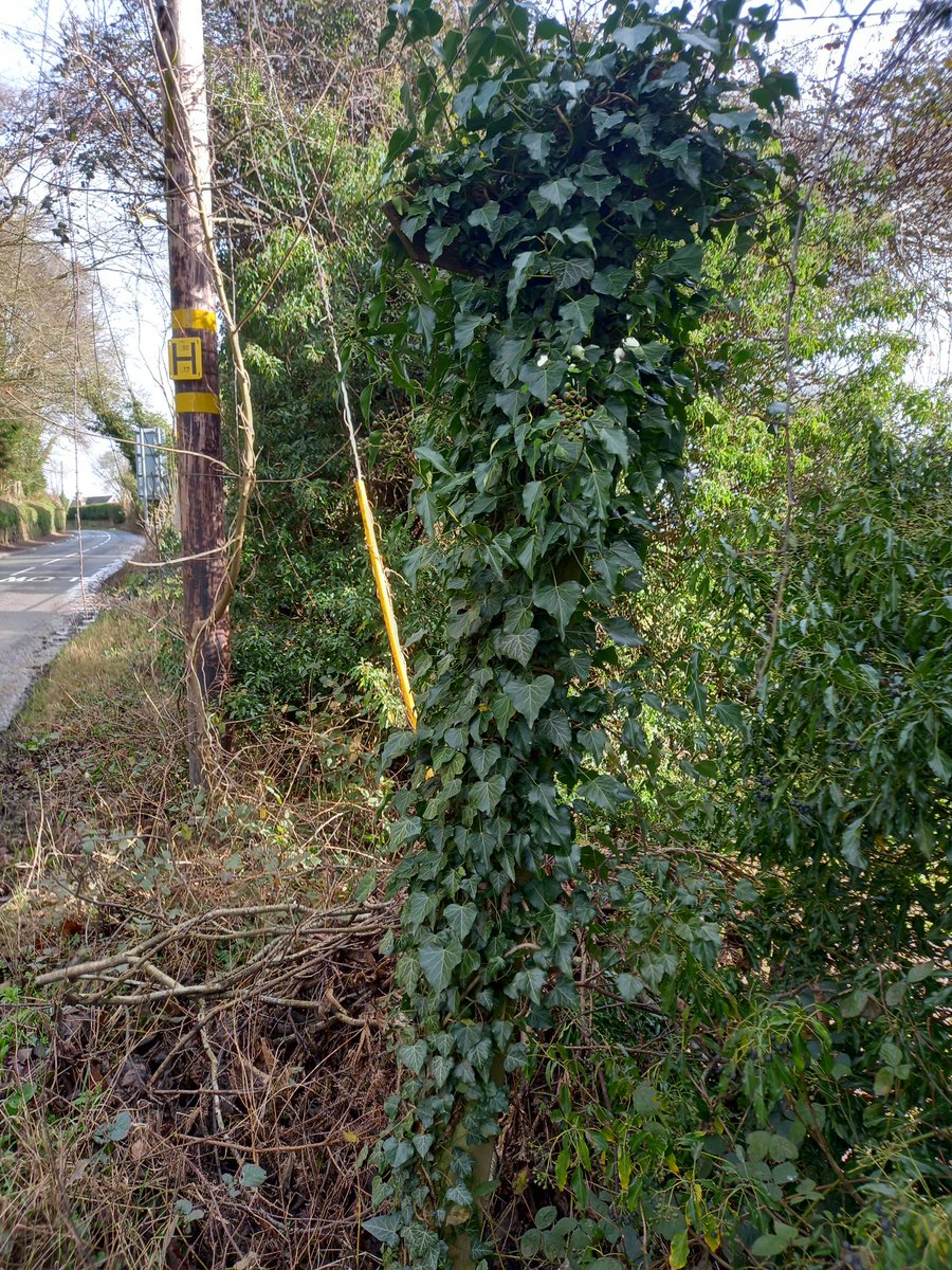 #SlowWaysUK Spot the fingerpost! Points up the drive to Overton House. Trial of Leolud two continues. <a href="/SlowWaysUK/">Slow Ways</a>