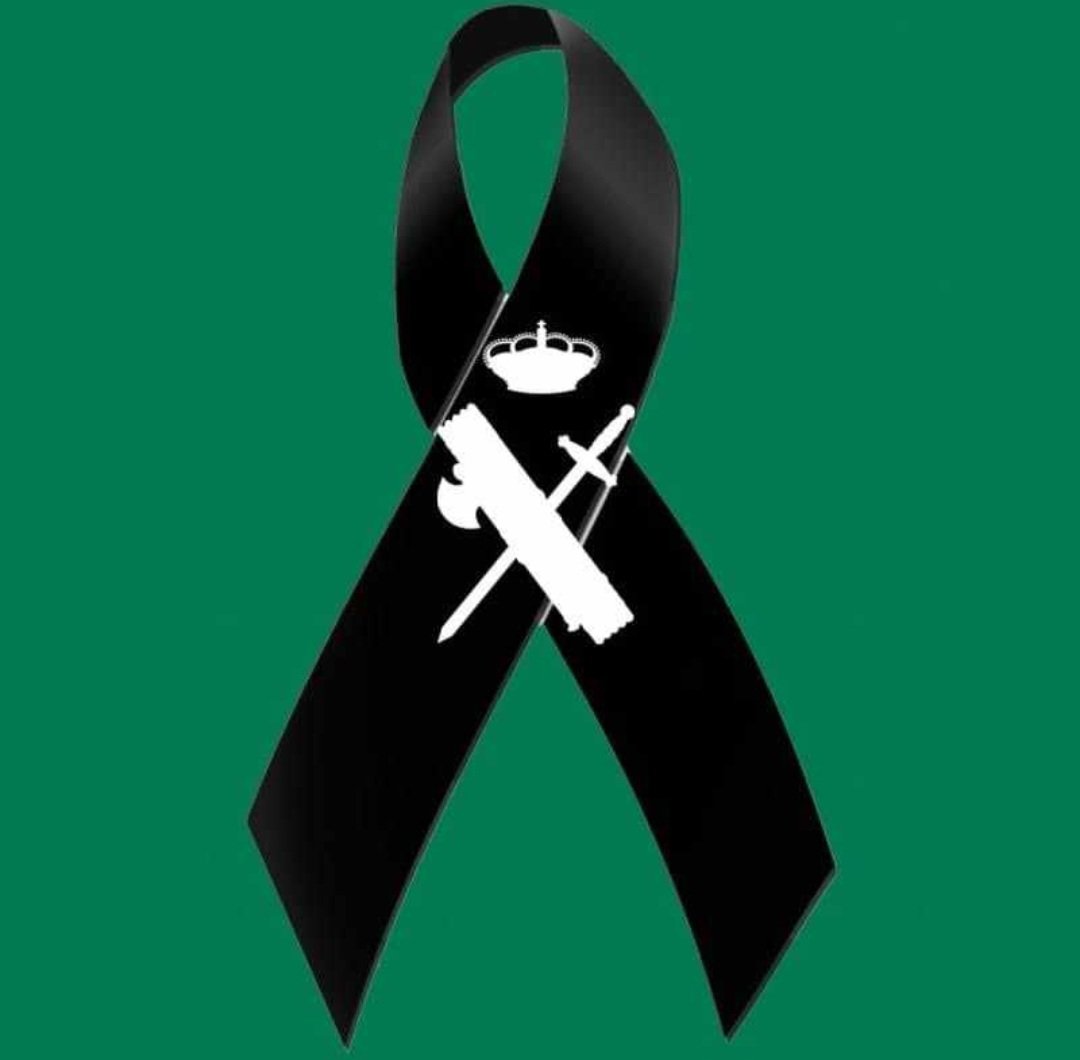 Otros dos Compañeros asesinados por esta lacra. Para cuando medidas más contundentes y mejores medios?
Cuantos uniformados tienen que morir?
Que la tierra os sea leve. D.E.P.