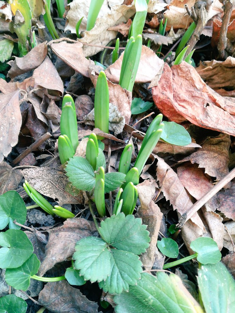 small signs, BIG hope😊❤️