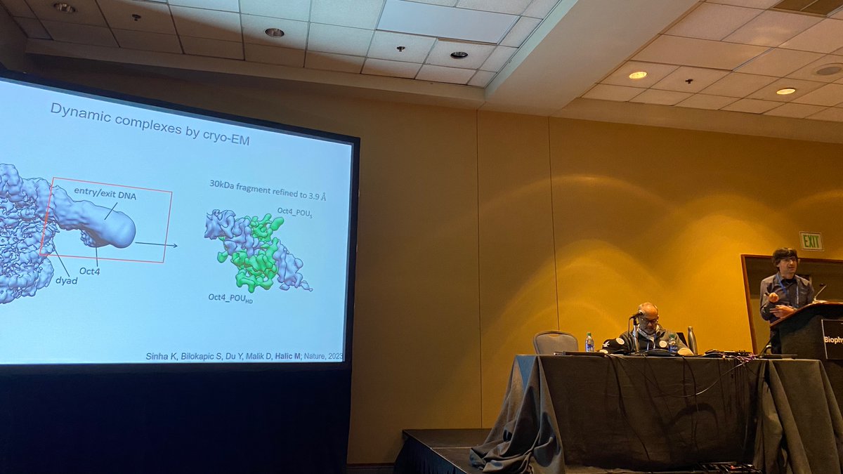 First is Mario Halic @LabHalic, discussing their cryo-EM work on how Oct4 binds nucleosomes forming dynamic complexes. Histones and their modifications emerged as crucial regulators @MGO_BPS @BiophysicalSoc meeting More here: nature.com/articles/s4158…