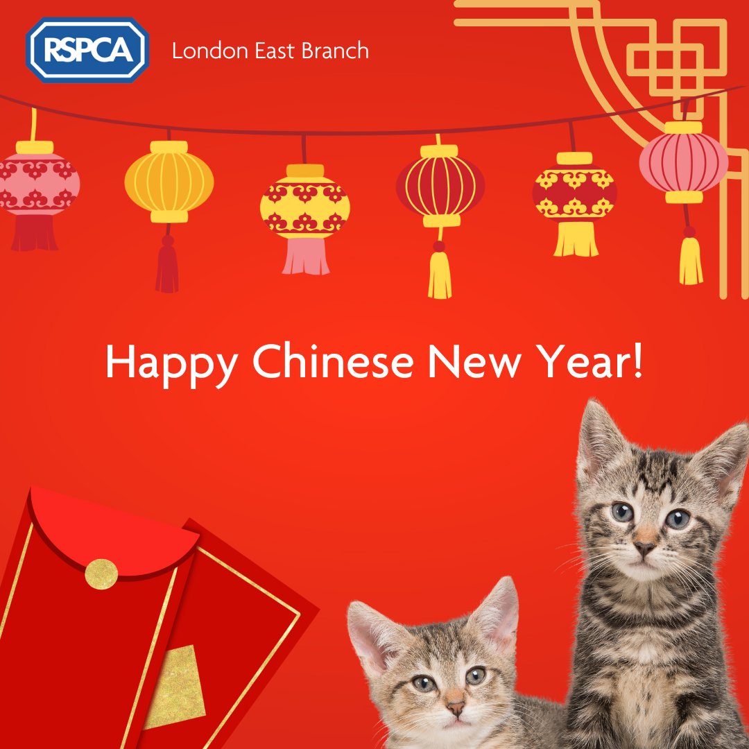 RSPCA East London and Havering Branch tweet media