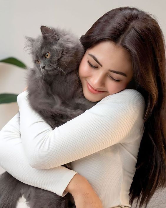 petmatingcity's tweet photo. This is my cats favorite❤️😍😽
#catlover #felinefriends #meowmadness #purrfectcompanions #crazycatlady #pawsandclaws #catsofinstagram #furryfriends #catobsessed #catcuddles #cat #cats #catgirl @iamcardib #fypシ https://t.co/tH0pWvUx8J