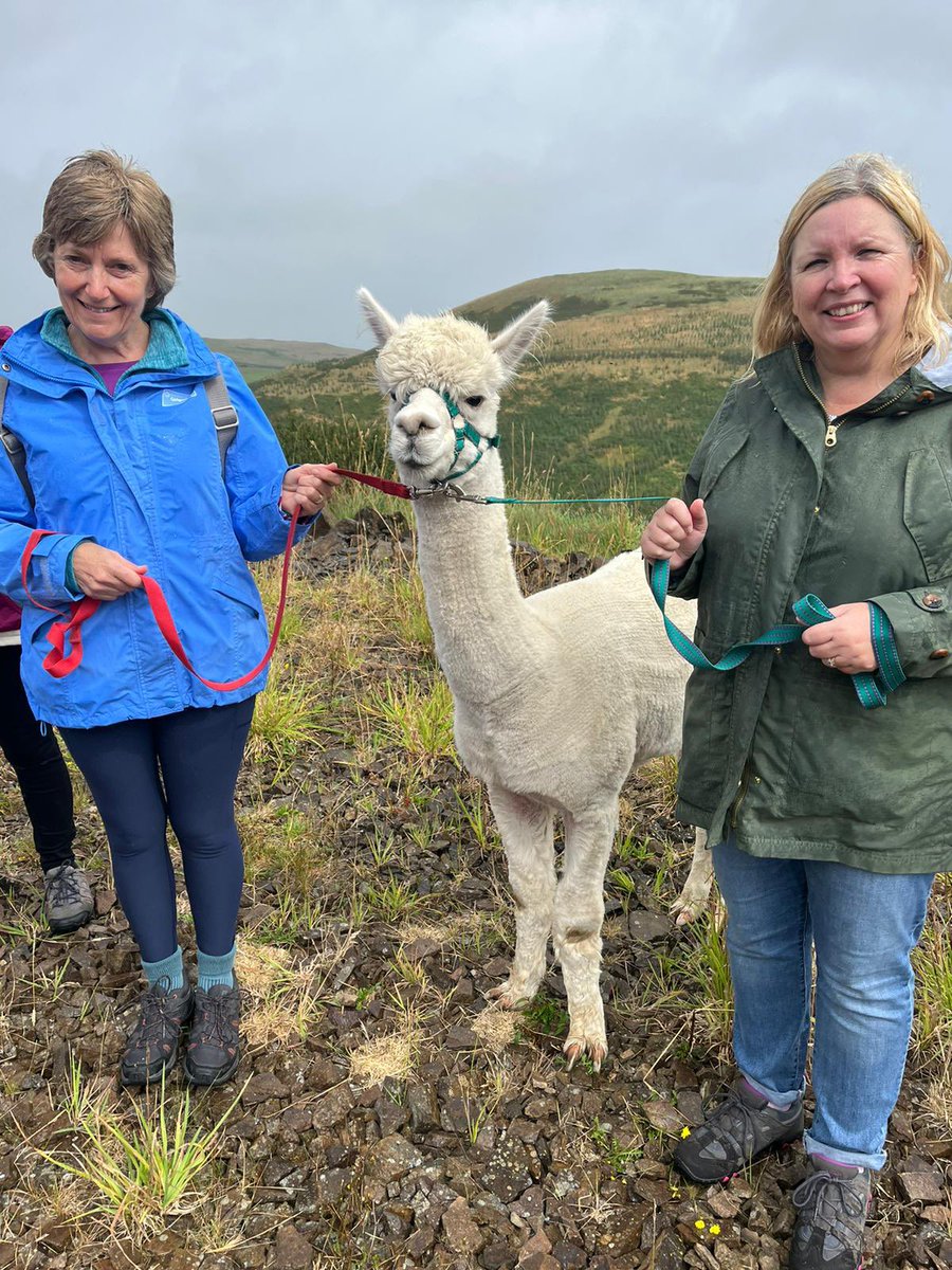 I’ve had many, many adventures with <a href="/waldie_wendy/">Wendy Waldie</a> some took longer than others 🙈