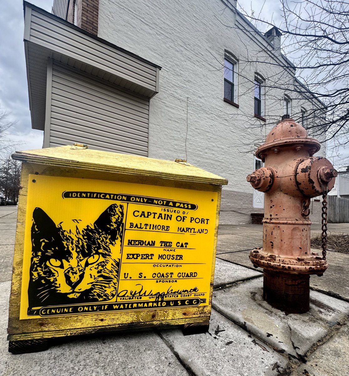 thebrokenplate's tweet photo. Herman the Cat was a mere 8 months old in 1943 when he was officially hired by the United States Coast Guard as an “Expert Mouser” to help control the rodent population aboard ships.#hermanthecat #caturday #baltimore #baltimorehistory #balitmoresaltbox https://t.co/KNh2lBQIQZ