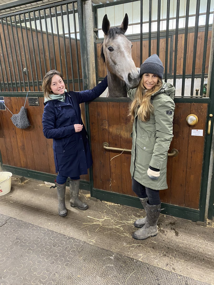 Ecurie Vivaldi tweet media