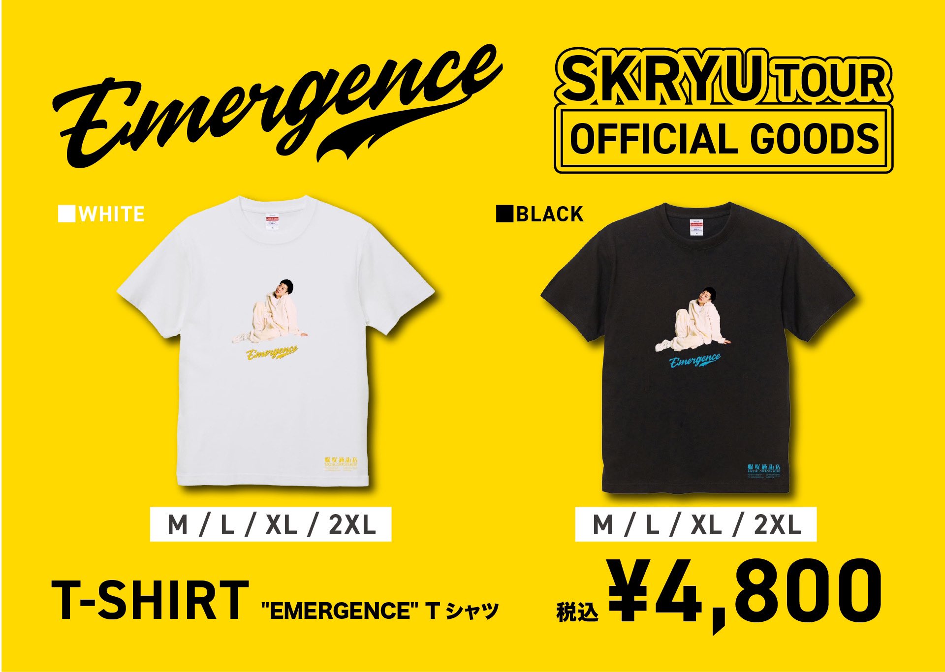 SKRYU All In One グッズ THEATER まとめ売り - メルカリ