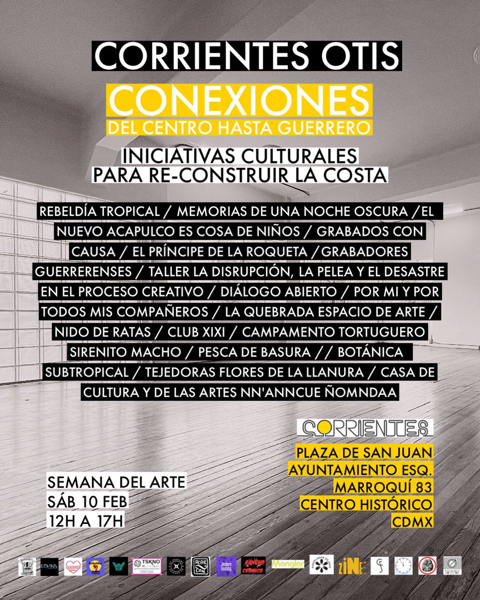 begoña colomar tweet media