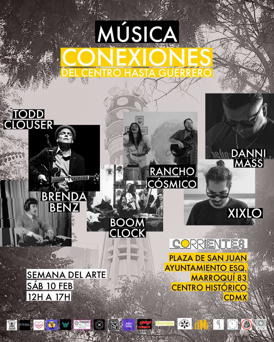 begoña colomar tweet media