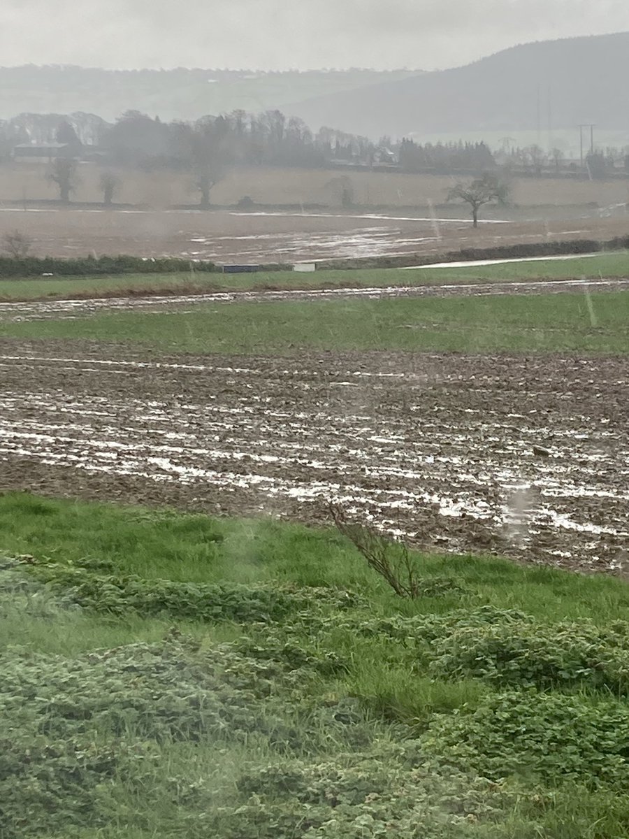 Will this rain ever end!? Won’t be doing much here for a while!🙄