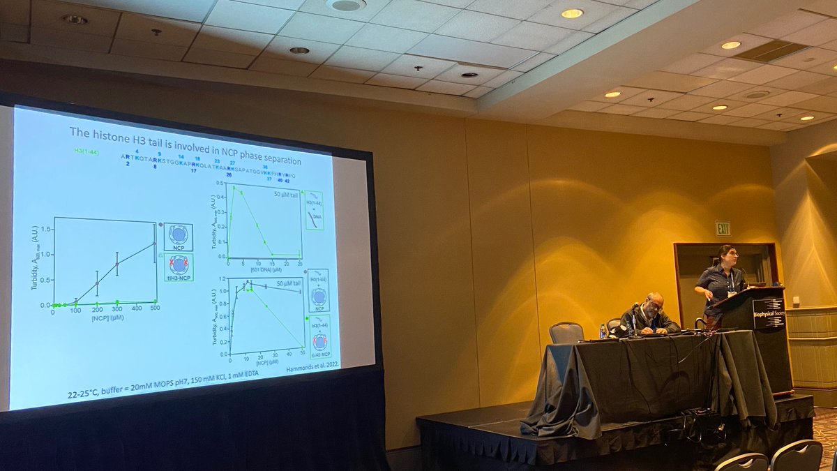 Second is Emma Morrison @EAMorrisonLab discussing their work on phase separation of nucleosomes and how charge-modulating H3 modifications regulate it More here: doi.org/10.1016/j.bpc.… and stay tuned for exciting new work systematically probing H3 coming up soon 🔥🔥🔥