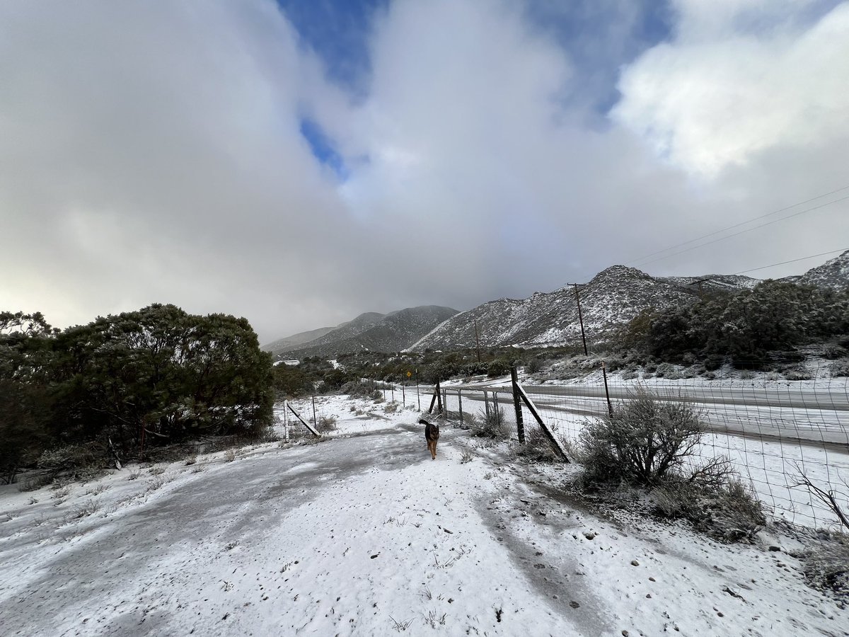 PhotosByChrys's tweet photo. #ironspringmtn #snowday #AnzaCa https://t.co/BCh6YtTXdv