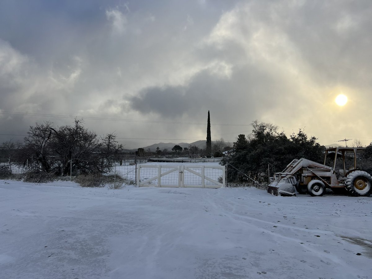 PhotosByChrys's tweet photo. #ironspringmtn #snowday #AnzaCa https://t.co/BCh6YtTXdv