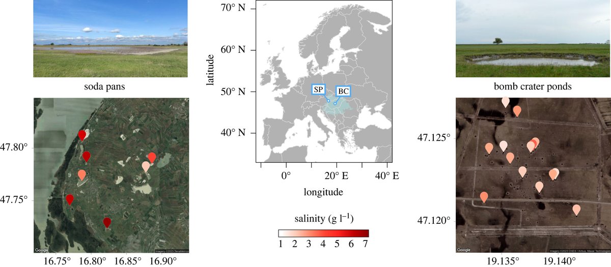 Regional and fine-scale local adaptation in salinity tolerance in #Daphnia inhabiting contrasting clusters of inland saline waters #ProcB #OpenAccess ow.ly/CfjY50Qz55Z #Evolution #Ecosystems