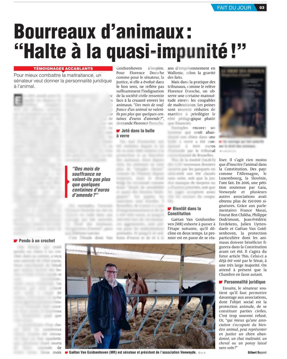 😔 Chaque jour en Belgique, 160 animaux sont abandonnés, soit 25 000 chiens et 32 000 chats par an. 

⚖️ En France ou en Angleterre, ces animaux bénéficient d'une personnalité juridique, donnant ainsi au Ministère public les moyens de poursuivre leurs bourreaux.

#BienÊtreAnimal