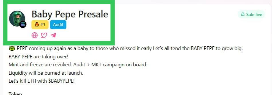 babypepereal's tweet photo. $BABYPEPE Has Reached Top 1 Trending On Pinksale 💥💥💥

https://t.co/V4yGSO4Xu6 https://t.co/Fba5XJaSKp