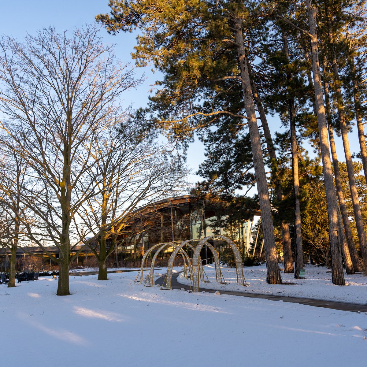 WinterTide starts TONIGHT at the <a href="/RBGCanada/">Royal Botanical Gardens</a> in Hamilton! This week features <a href="/lailabiali/">Laila Biali</a> and Queen Kong Feb 8-10  ❄️🎵

Tickets and info available at rbg.ca/wintertide