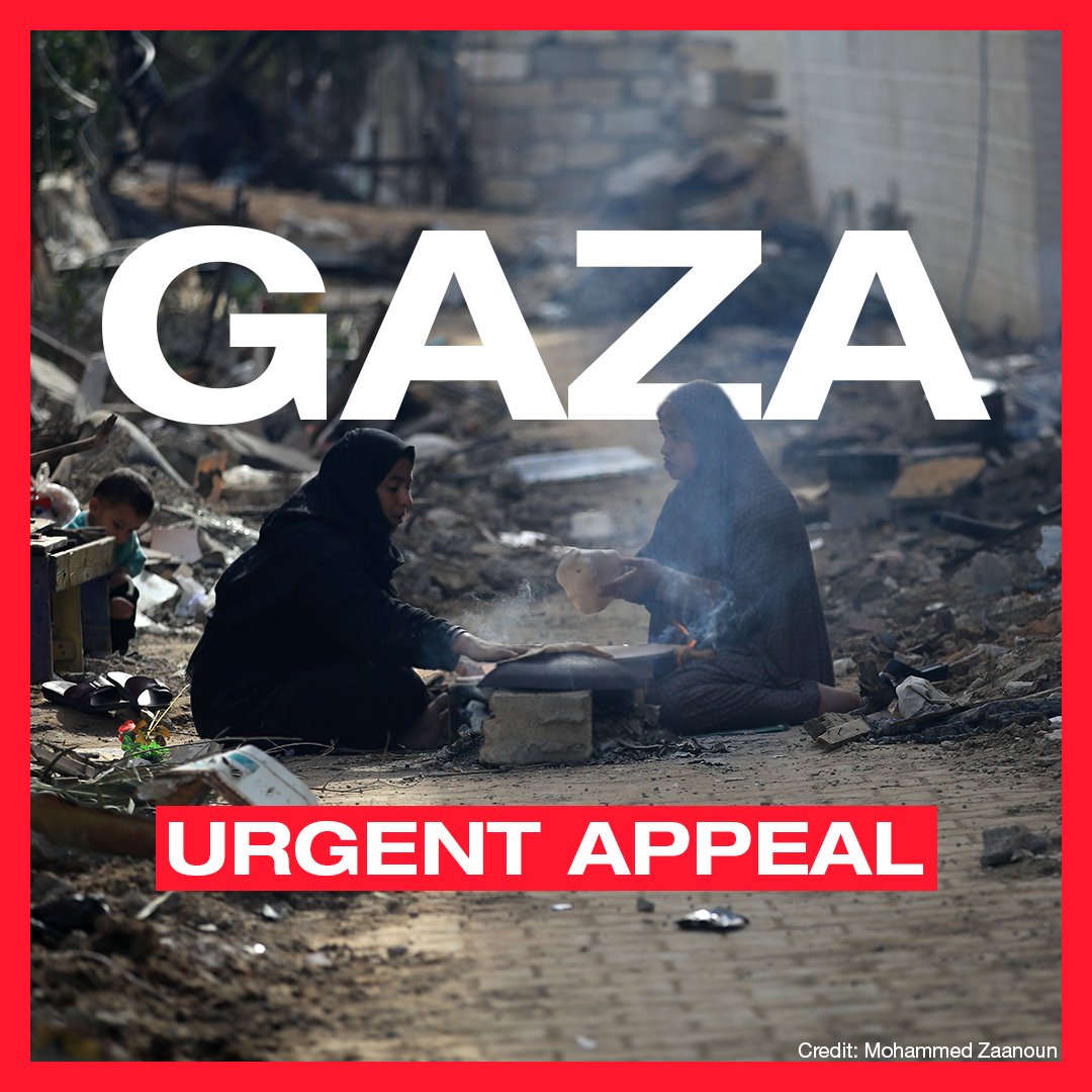 📢 URGENT APPEAL Together with @MedicalAidPal, ShelterBox will be providing #EmergencyShelter to thousands of people who need it in #Gaza. 💚 Please, if you can, #donate today and help us reach more people around the world with life-saving aid. bit.ly/42tgGoz